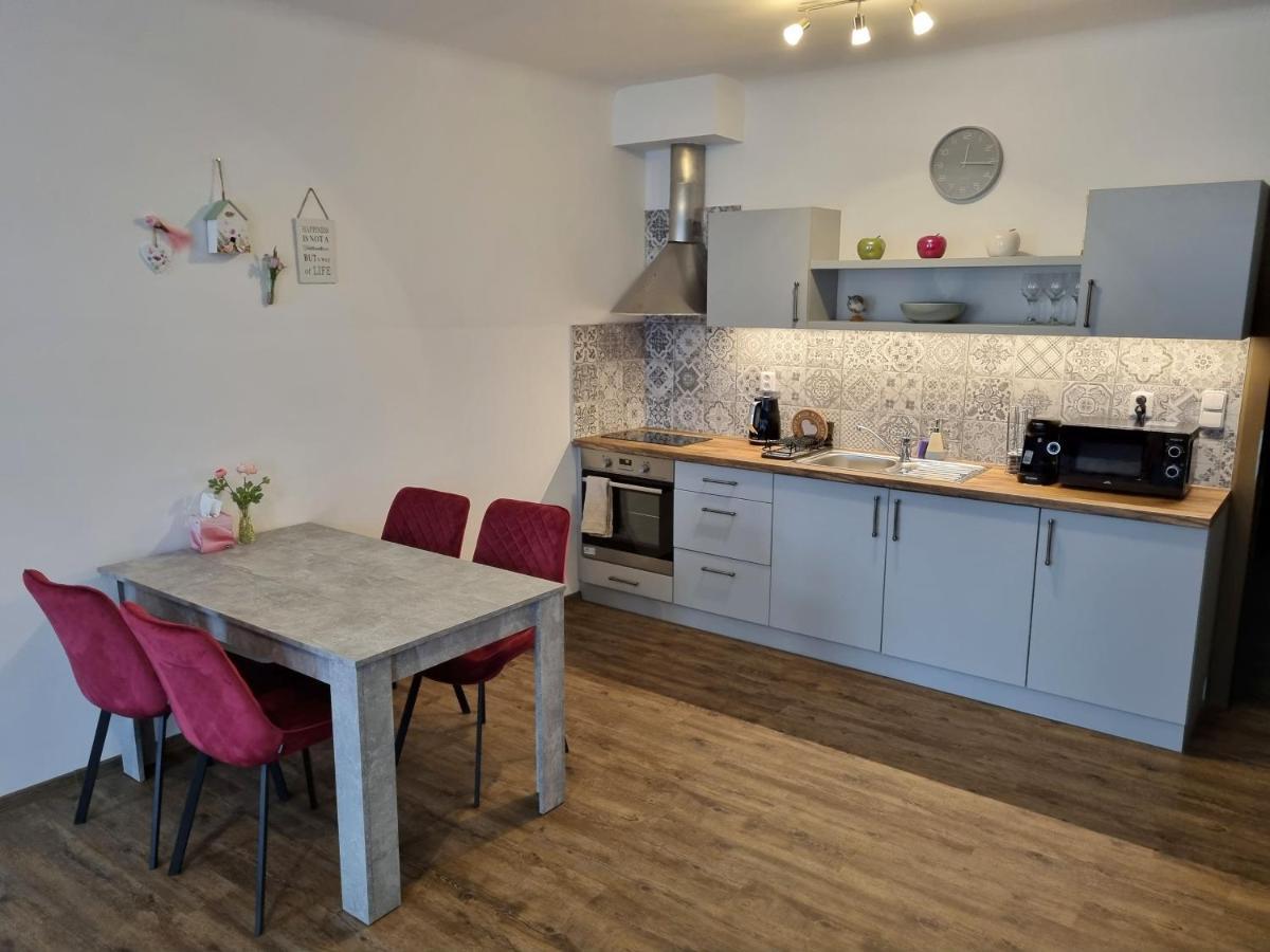 Velke Studio Na Velkem Namesti S Vybavenou Kuchyni Hradec Králové Exteriér fotografie